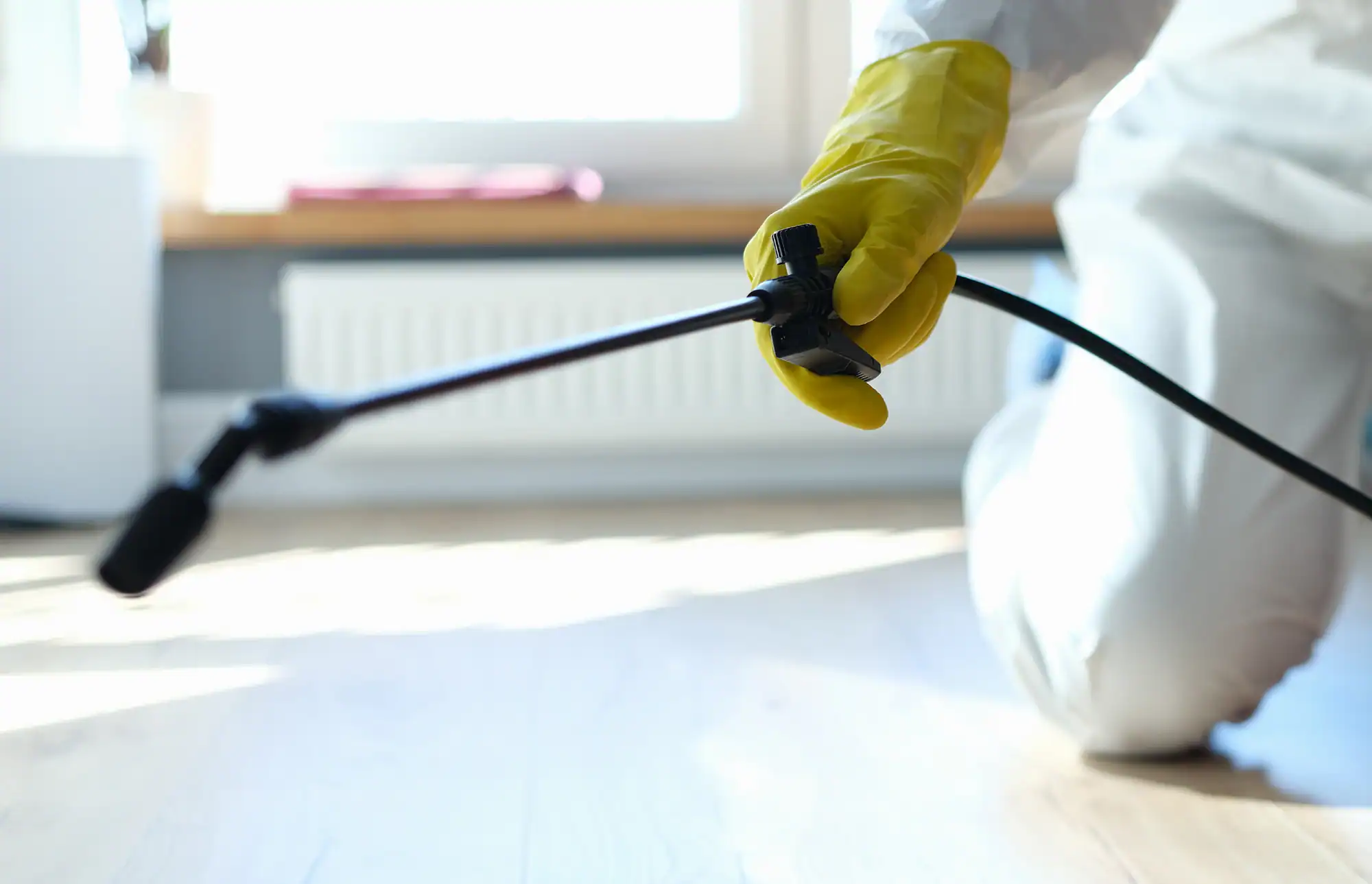 Cold fogger applying botanical disinfectant in a Phoenix property