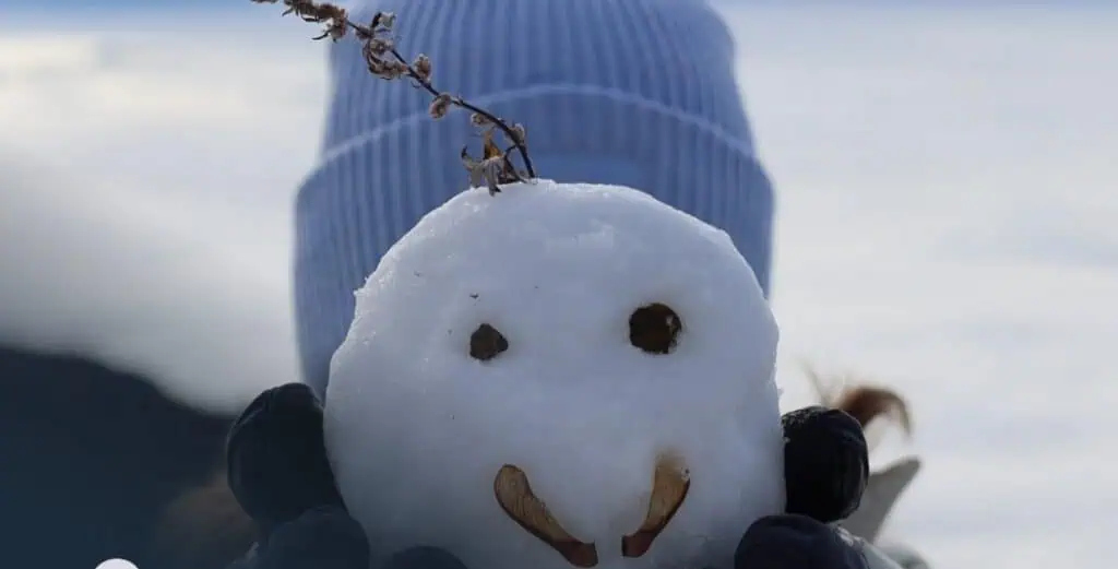 The Importance of Clean Air Ducts this Winter Season