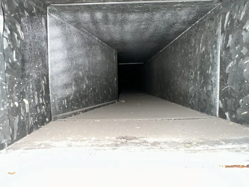 How Often Should You Clean Your Dryer Vent to Prevent Fires?