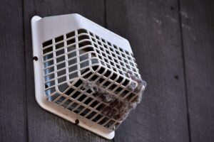 Exterior dryer vent cap